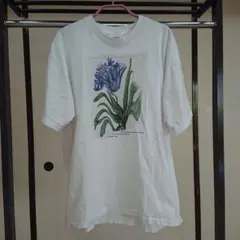 花なんですけど