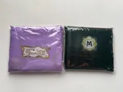 Item thumbnail for item 1208a715-a042-4598-868e-16136f8bf9fd