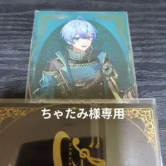 ちゃたみ様専用