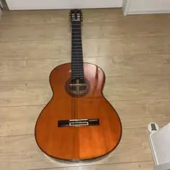 ビンテージShinano Guitar（シナノギター）Model No. 35 - メルカリ