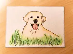 ♥ラブラドールレトリバー 手描き 絵画♥