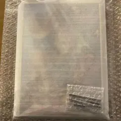 鬼滅の刃無限城編WEBSHOPくじA賞ビッグレイヤードアクリルパネル　竈門炭治郎