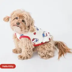 韓国 BITE ME ハローキティ コラボ ペット用服 Sサイズ - メルカリ