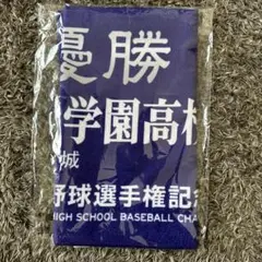 2025年最新】仙台育英タオルの人気アイテム - メルカリ
