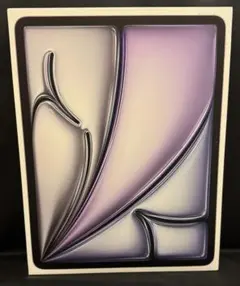 【美品】iPad Air M2 13インチ 128GB スペースグレイ オマケ付