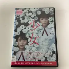 少女／本田翼、山本美月:DVD