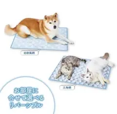 Item thumbnail for item 04d330e8-b1e6-4980-bdd3-fd023d8e68d9