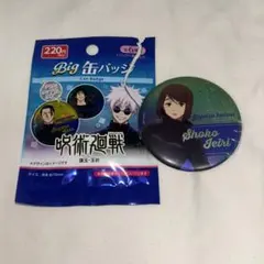 アニメーション呪術廻戦展 懐玉・玉折 原画缶バッジ 家入硝子 - メルカリ
