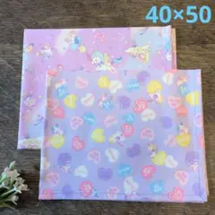 ランチョンマット2枚セット　女の子　ハンドメイド　給食　小学校　保育園　幼稚園