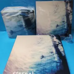 新品 SCANDAL eternal CD グッズセット Tシャツ付 Lサイズ