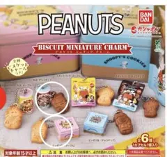 PEANUTS ビスケットミニチュアチャーム 2種セット