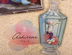 リーメント　ポケモン　アクアボトル　アシレーヌ