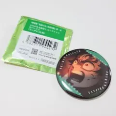 竈門炭治郎 鬼滅の刃 無限城編 ものがたる眼差しコレクション缶バッジA