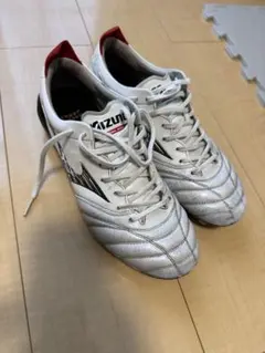 2025年最新】モレリア neo レッドの人気アイテム - メルカリ