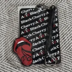 2026年最新】acid black cherry グッズ新品の人気アイテム - メルカリ