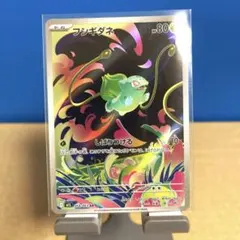 2025年最新】フシギダネARの人気アイテム - メルカリ