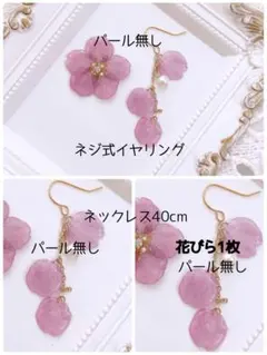 ☆水曜発送☆ zzzcha様専用☆ネックレス ネジ式イヤリング