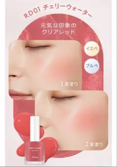 アピュージューシーパンウォーターブラッシャーチーク【匿名発送】のサムネイル
