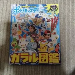 ポケットモンスター ガラル図館 最終価格！！
