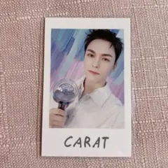 SEVENTEEN セブチ YAKUSOKU インスタントフォト バーノン