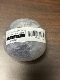 ワンピの実　ロブルッチ　第十九海戦