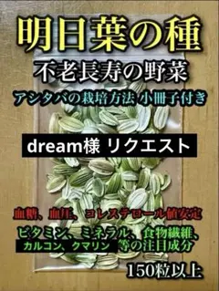 dream様 リクエスト 2点 まとめ商品