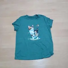 三毛猫と蝶々 プリント 半袖Tシャツ グリーン