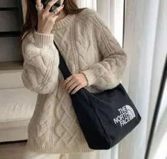 【新品正規品】THE NORTH FACEビッグロゴ ショルダーバッグ 韓国限定