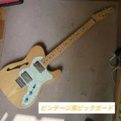 Fender Thinline Telecasterのサムネイル