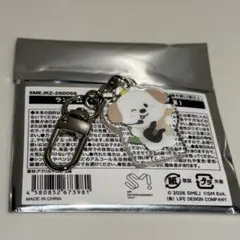 RIIZE アントン ランダム　キーホルダー