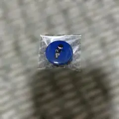 2025年最新】アイテム種別：クリアファイル ピンズ・ピンバッジ・缶