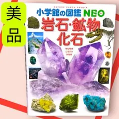 美品　小学館の図鑑NEO　岩石・鉱物・化石