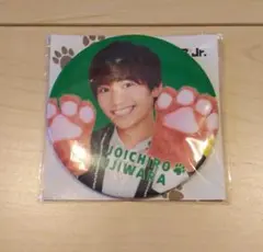 なにわ男子 藤原丈一郎　缶バッチ 缶バッジ