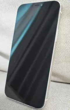 Apple iPhone 12 本体　ジャンク？ 値引相談