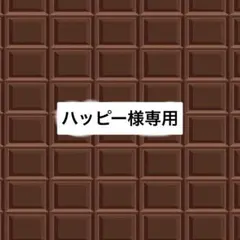 ハッピー様専用
