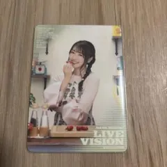 水樹奈々　LIVE VISION NANACA