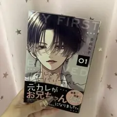 はじめてのおにいちゃん 1
