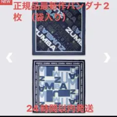 STABRIDGE バンダナ the apartment bandana 1 - メルカリ