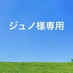 未使用TORY BURCHトリーバーチ　レザー長財布　マックグロー　グレージュ