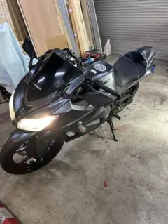 2026年最新】ninja250 カウルの人気アイテム - メルカリ