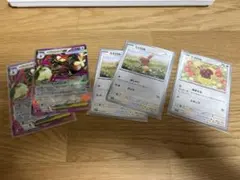 メガミミロップex 進化ライン