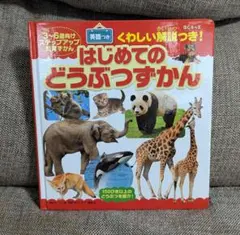 Item thumbnail for item 41d779ec-6e50-49e3-b93b-0be764984f59