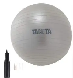 Tanita バランスボール TS-962 シルバー