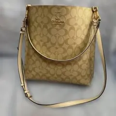 Item thumbnail for item 4d3e9c94-4a61-4c33-8996-00c1b0835d2a