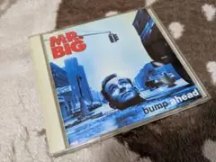 MR. BIG bump a head