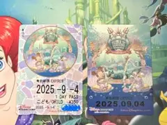 東京ディズニーシー 開園 24周年記念 ディズニーリゾートライン フリー切符