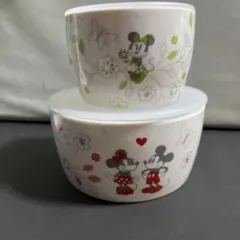 MAEBATA Disney ミッキー ミニー 陶器 食品保存容器 2個セット