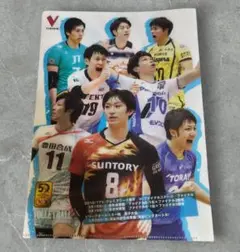 2016/17 Vプレミアリーグ ファイナル クリアファイル