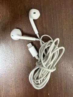 【同時購入お値下可】Lightning接続 インイヤー型イヤフォン ホワイト