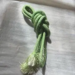 黄緑　帯締め